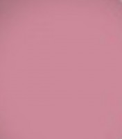 Crazy Rumors Natuurlijke, Getinte Lippenbalm Hibiskiss Rozenhout